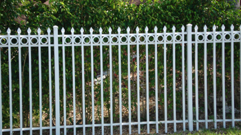 Fence
